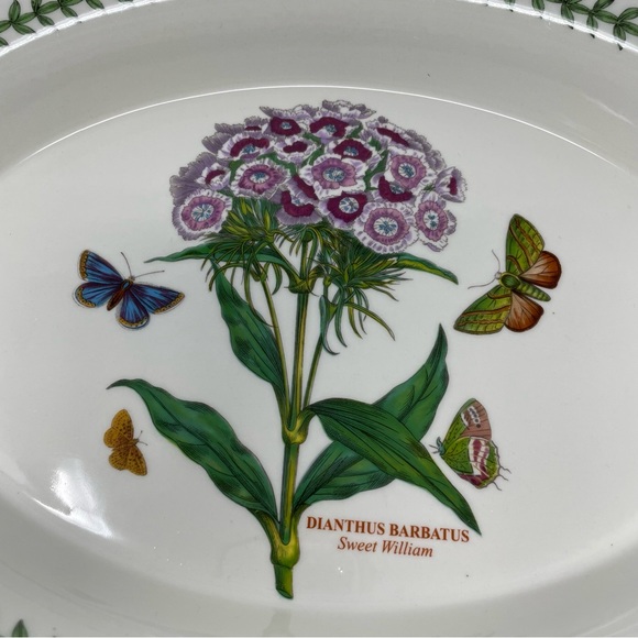 PORTMEIRION Botanic Garden Oval Serving Platter Sweet William - Picture 4 of 9